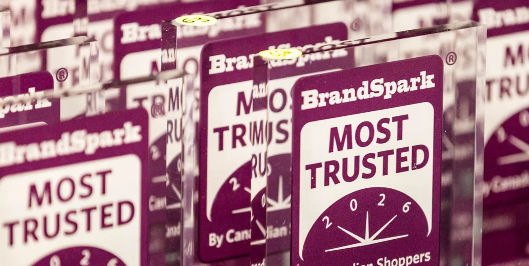 Newell Brands Celebrates 2026 BrandSpark Most Trusted Awards Across Six Iconic Brands