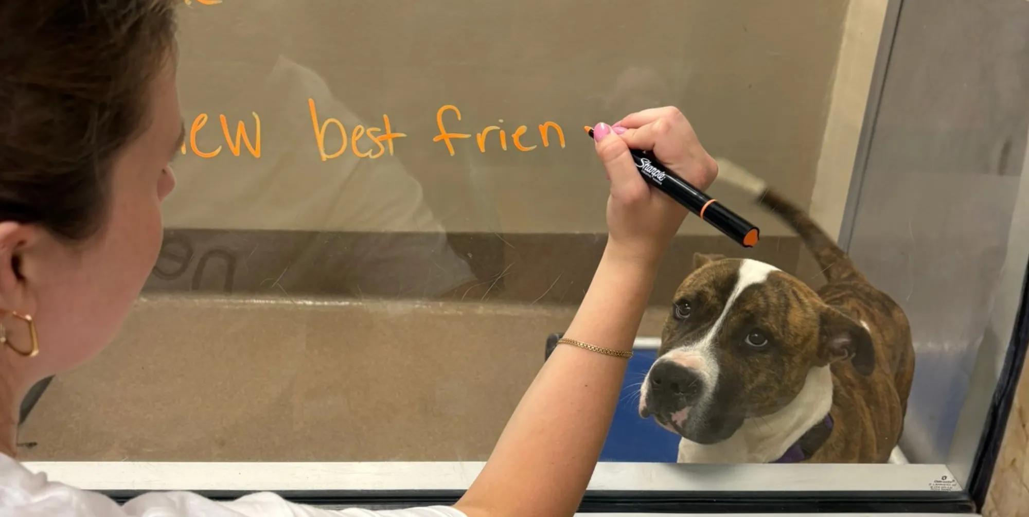 Supporting Communities Through Giving Season: Local Impact in Action